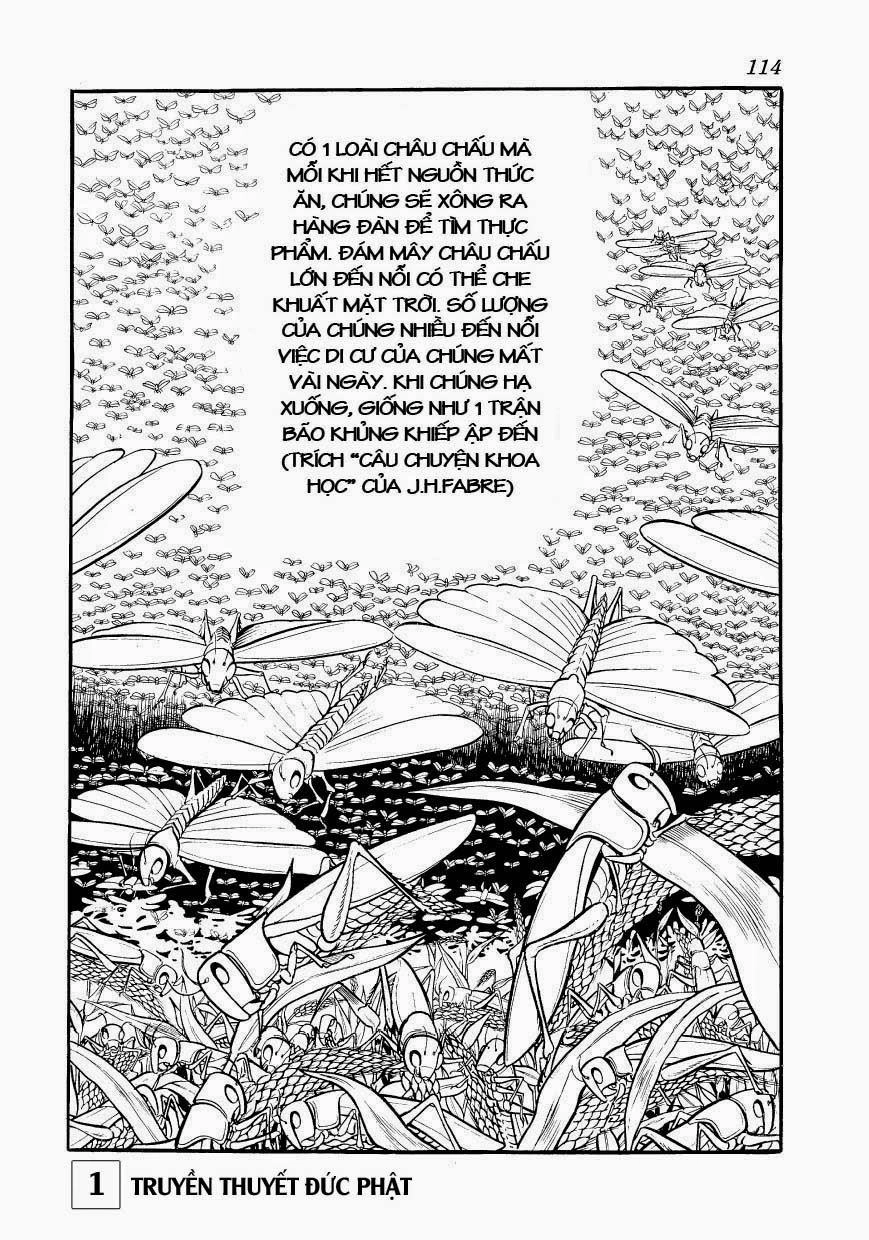 Buddha - Truyền Thuyết Đức Phật Chapter 3 - 10