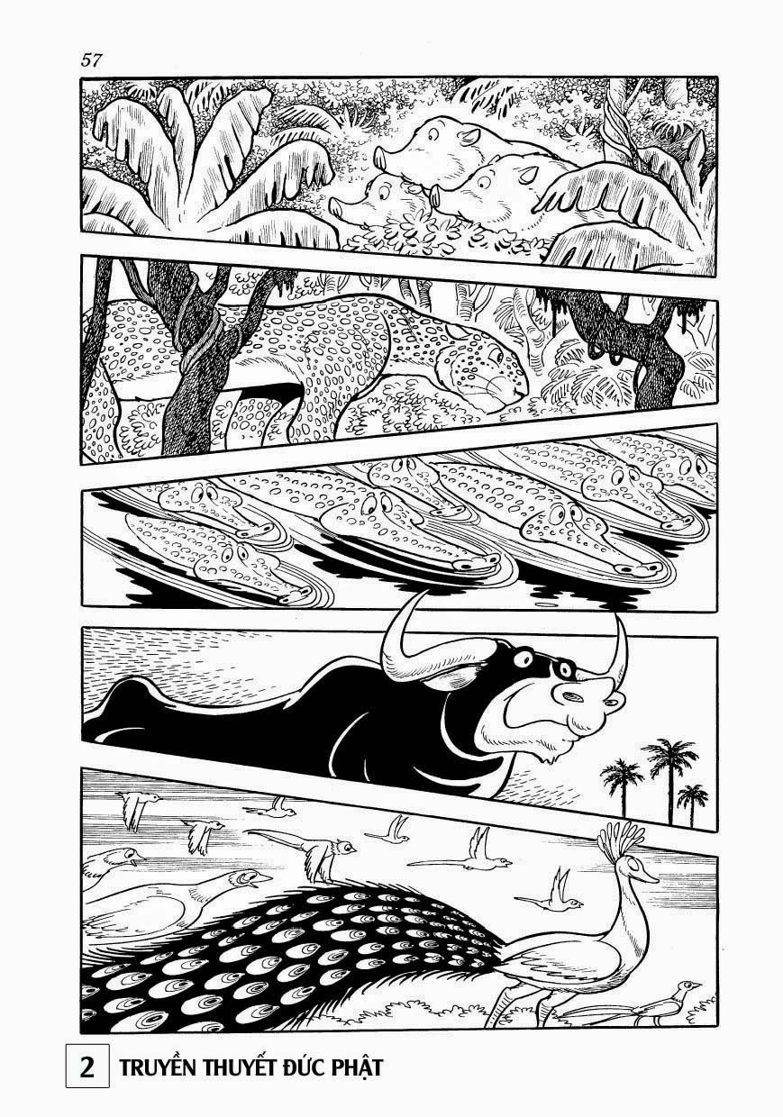 Buddha - Truyền Thuyết Đức Phật Chapter 7 - 13