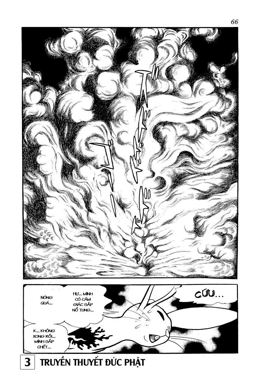 Buddha - Truyền Thuyết Đức Phật Chapter 14 - 19