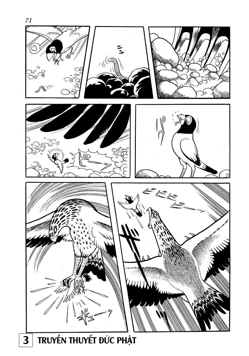 Buddha - Truyền Thuyết Đức Phật Chapter 14 - 24