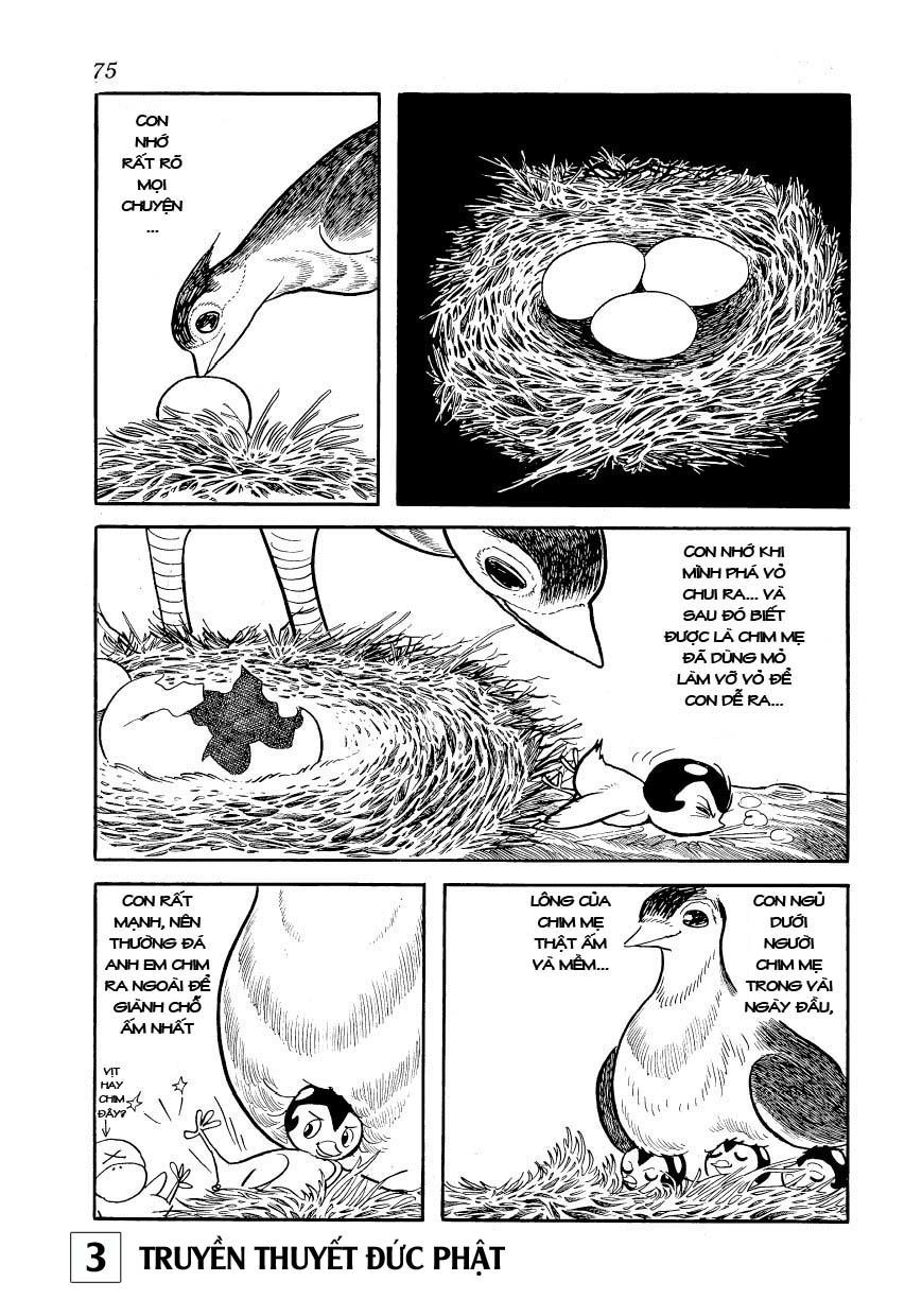 Buddha - Truyền Thuyết Đức Phật Chapter 14 - 28