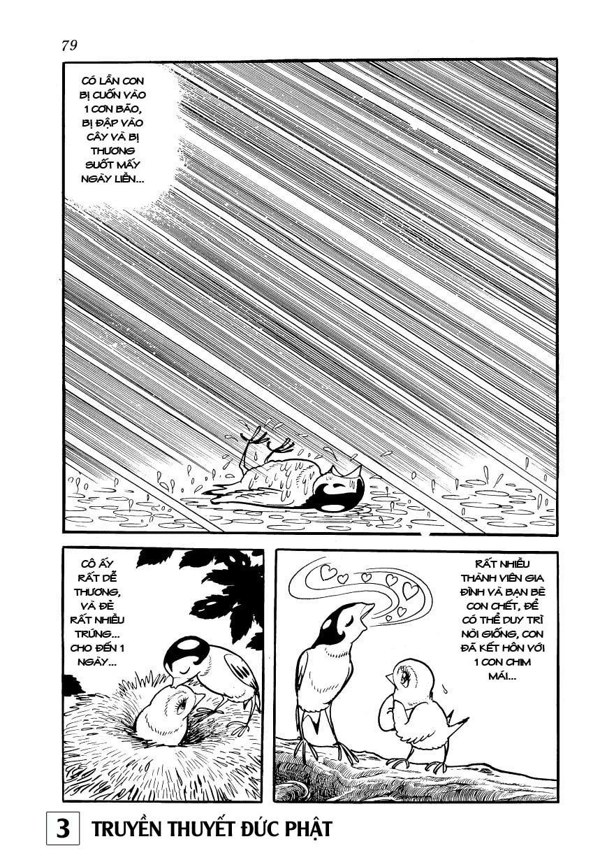 Buddha - Truyền Thuyết Đức Phật Chapter 14 - 32