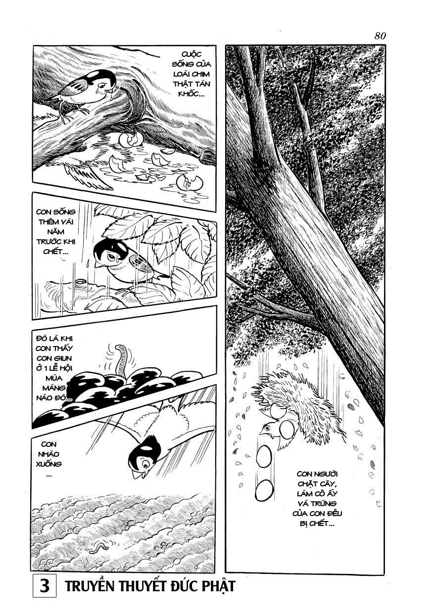 Buddha - Truyền Thuyết Đức Phật Chapter 14 - 33