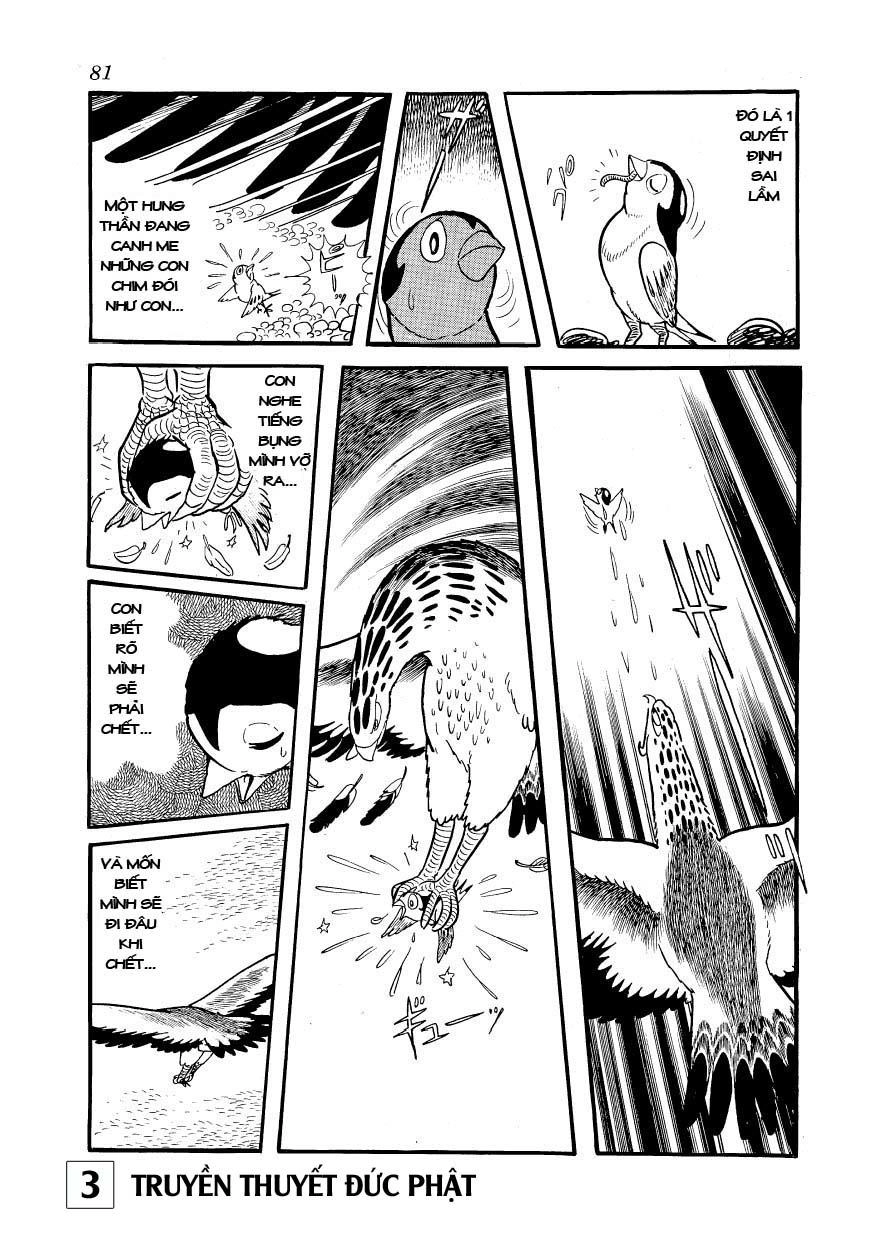 Buddha - Truyền Thuyết Đức Phật Chapter 14 - 34