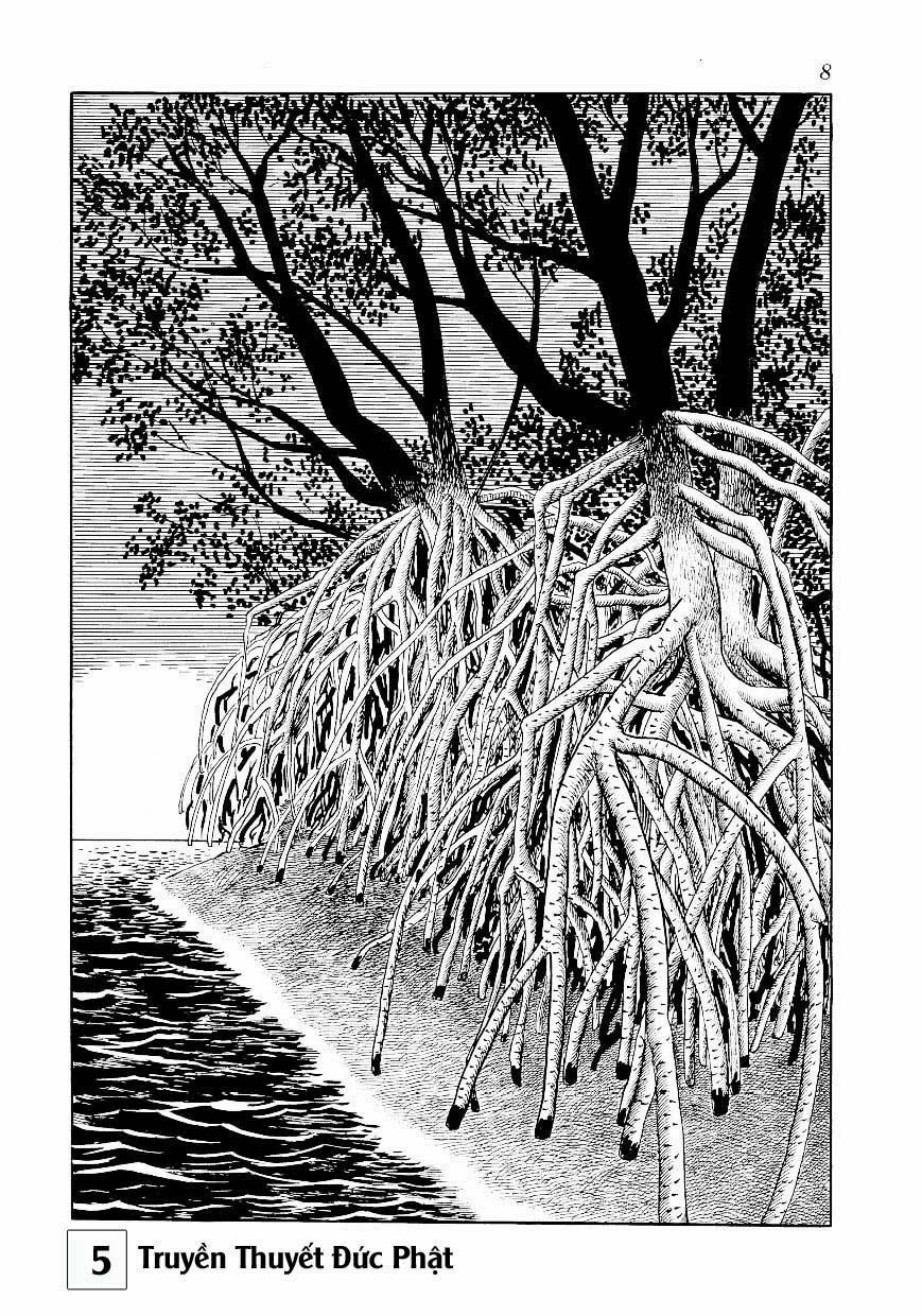 Buddha - Truyền Thuyết Đức Phật Chapter 23 - 8