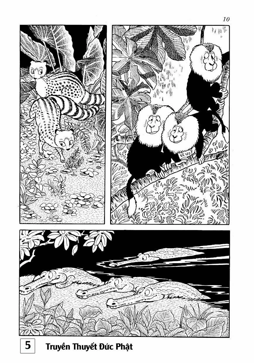 Buddha - Truyền Thuyết Đức Phật Chapter 23 - 10