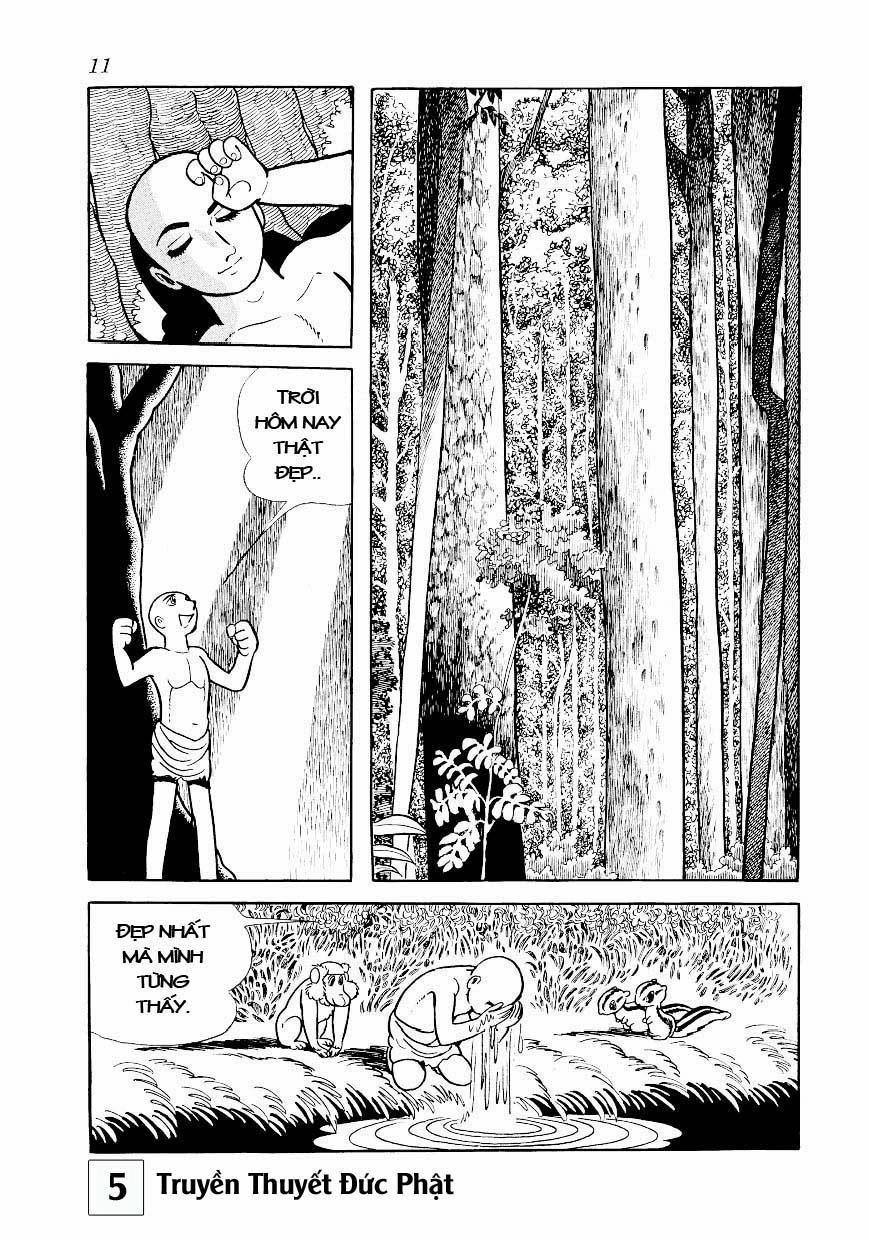 Buddha - Truyền Thuyết Đức Phật Chapter 23 - 11
