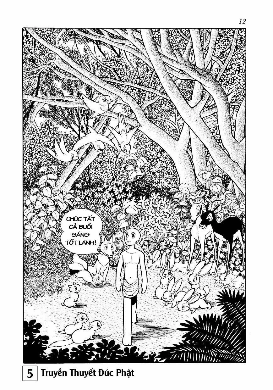 Buddha - Truyền Thuyết Đức Phật Chapter 23 - 12