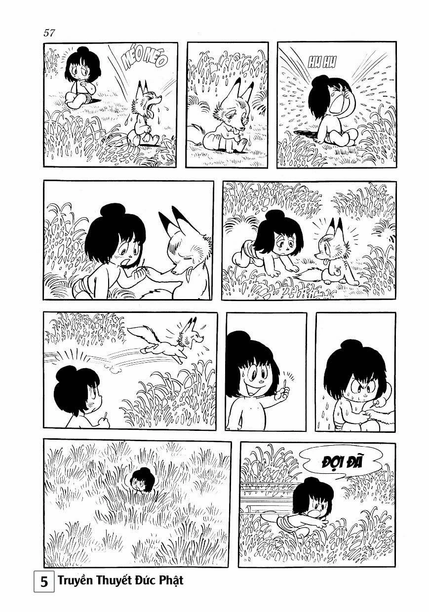 Buddha - Truyền Thuyết Đức Phật Chapter 24 - 11