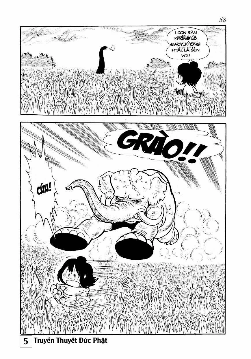 Buddha - Truyền Thuyết Đức Phật Chapter 24 - 12