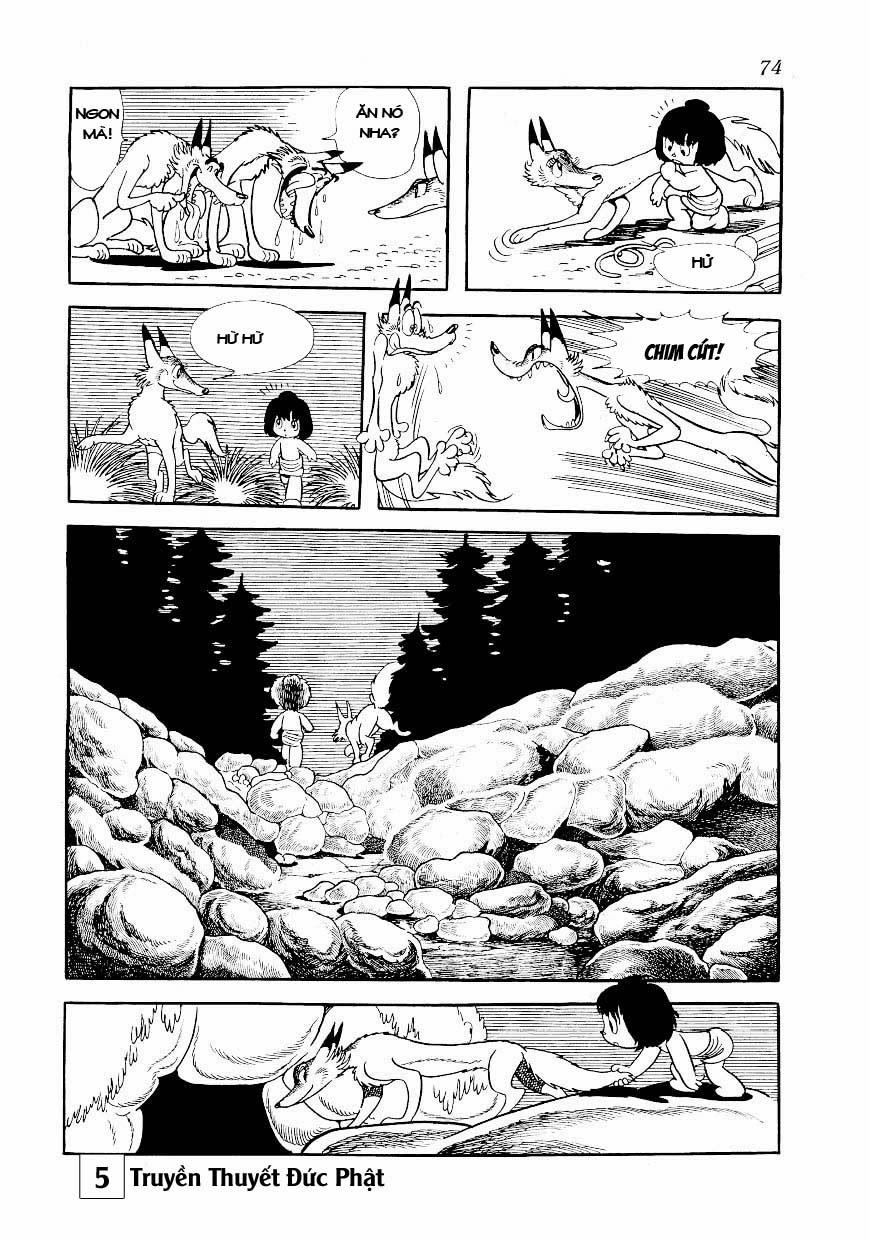 Buddha - Truyền Thuyết Đức Phật Chapter 24 - 28