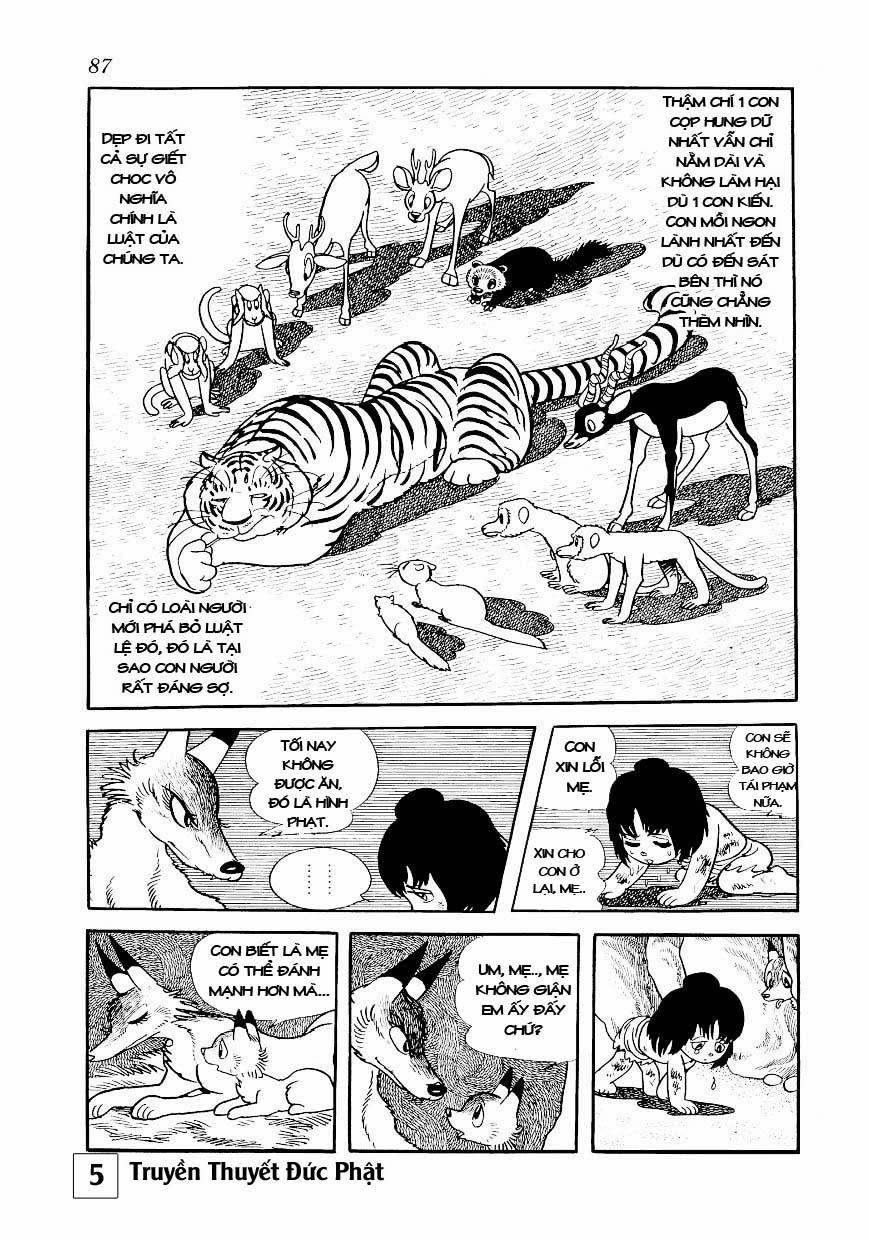 Buddha - Truyền Thuyết Đức Phật Chapter 24 - 41