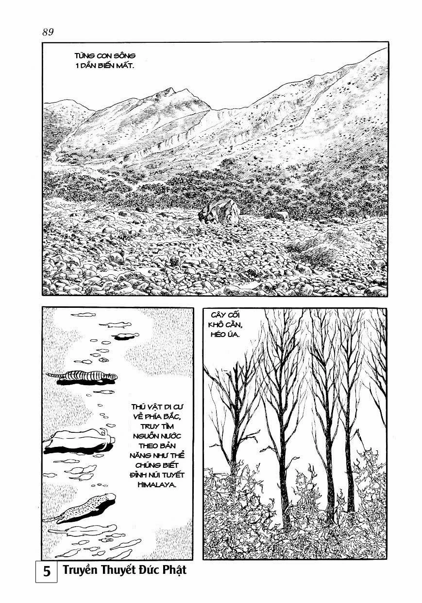 Buddha - Truyền Thuyết Đức Phật Chapter 24 - 43