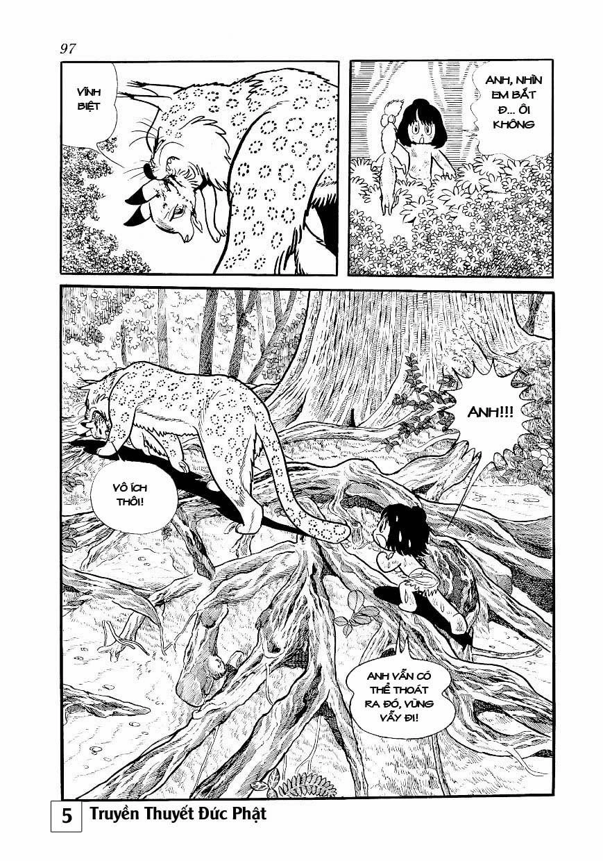 Buddha - Truyền Thuyết Đức Phật Chapter 24 - 51