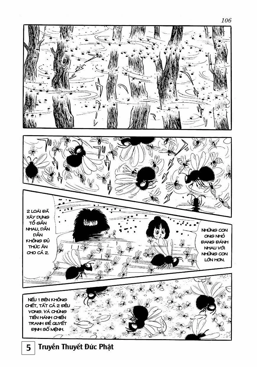 Buddha - Truyền Thuyết Đức Phật Chapter 24 - 60