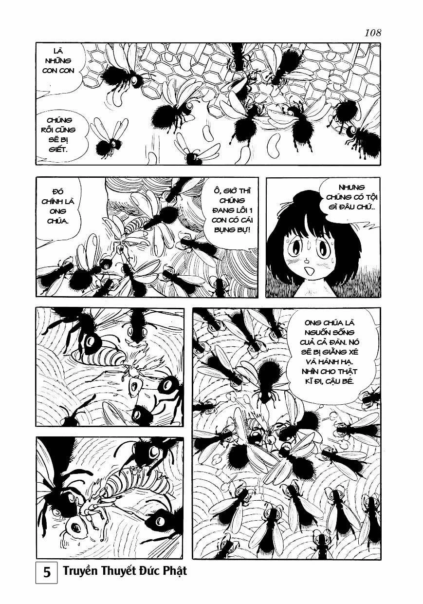 Buddha - Truyền Thuyết Đức Phật Chapter 24 - 62