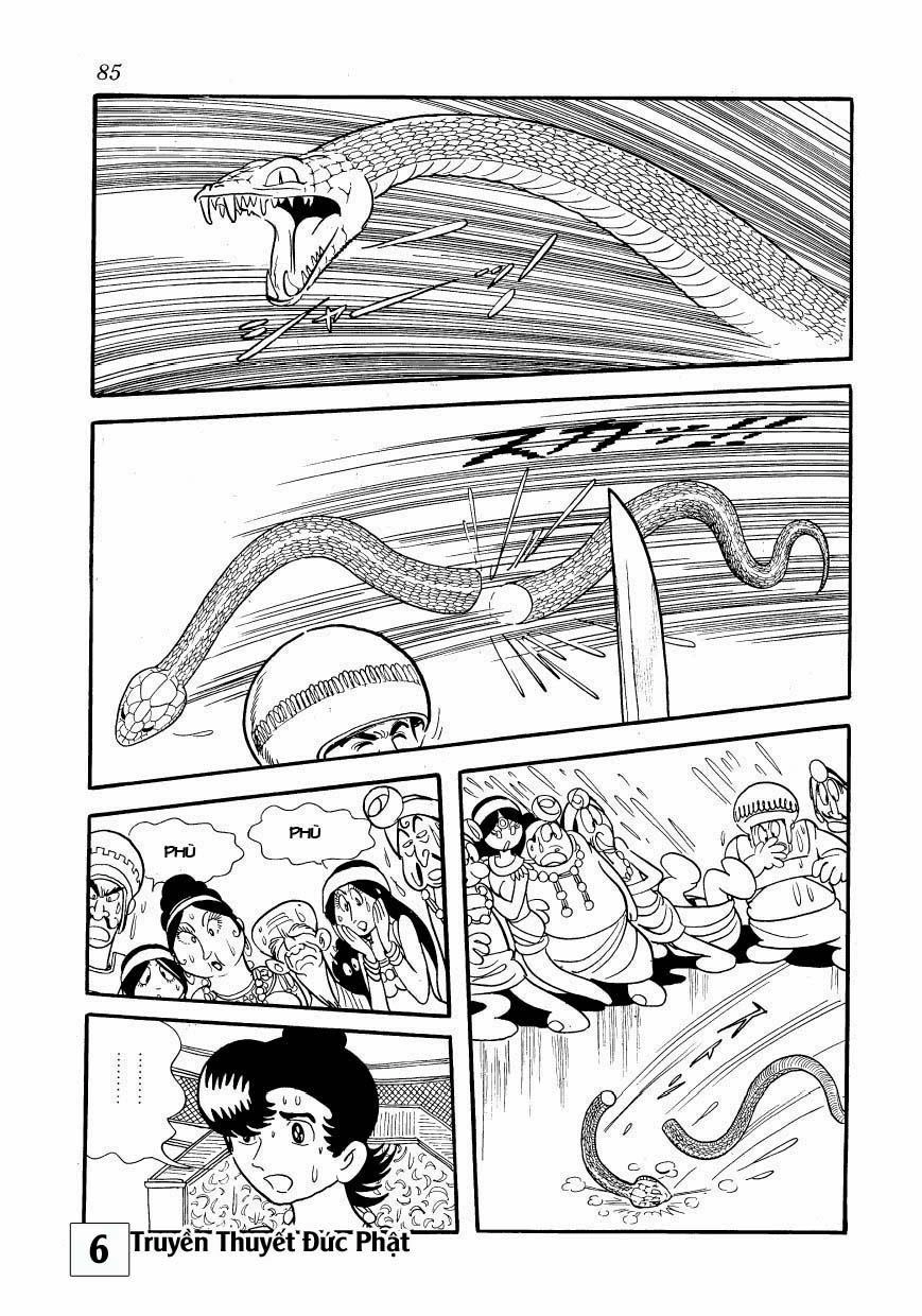 Buddha - Truyền Thuyết Đức Phật Chapter 28 - 20