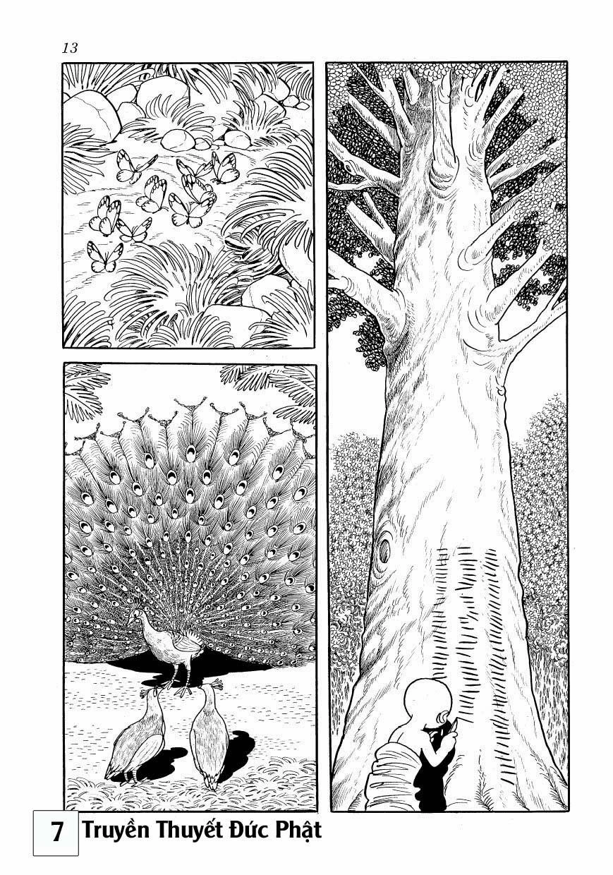 Buddha - Truyền Thuyết Đức Phật Chapter 30 - 12