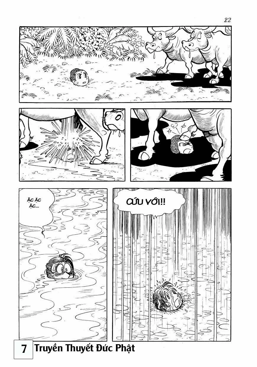 Buddha - Truyền Thuyết Đức Phật Chapter 30 - 21