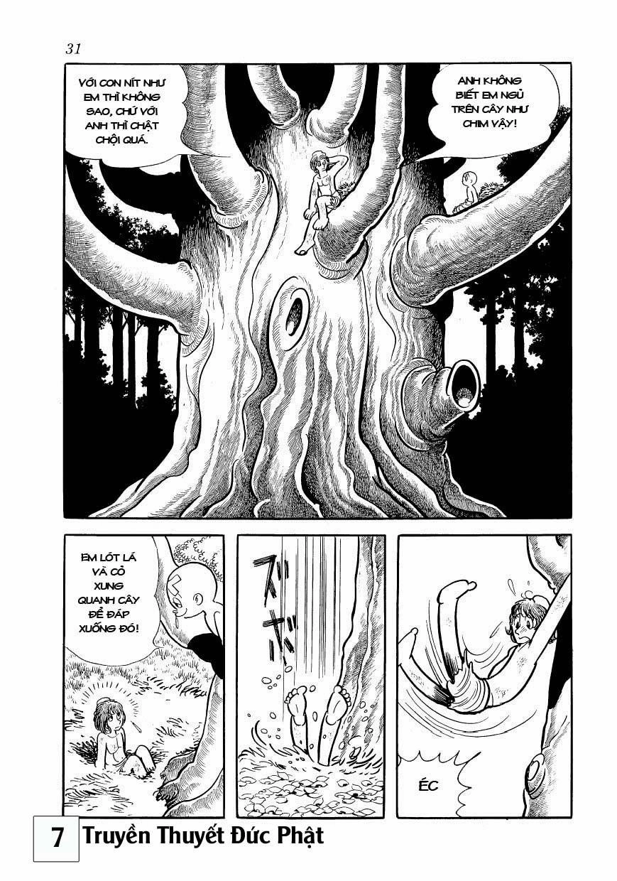 Buddha - Truyền Thuyết Đức Phật Chapter 30 - 30