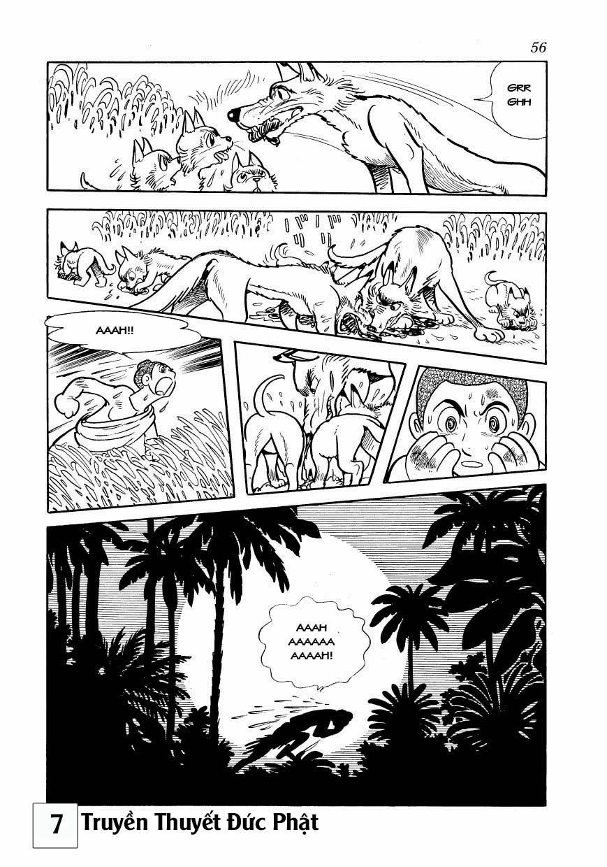 Buddha - Truyền Thuyết Đức Phật Chapter 31 - 23