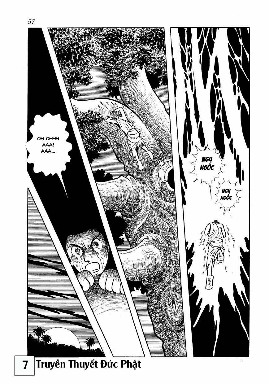 Buddha - Truyền Thuyết Đức Phật Chapter 31 - 24