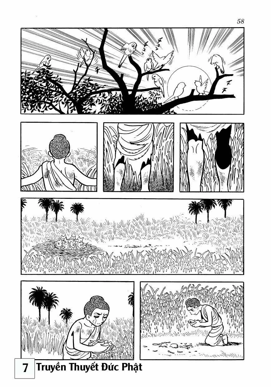 Buddha - Truyền Thuyết Đức Phật Chapter 31 - 25