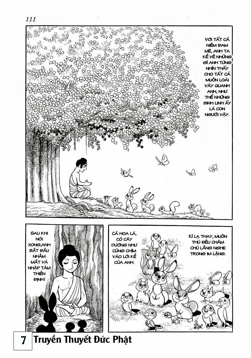 Buddha - Truyền Thuyết Đức Phật Chapter 33 - 5