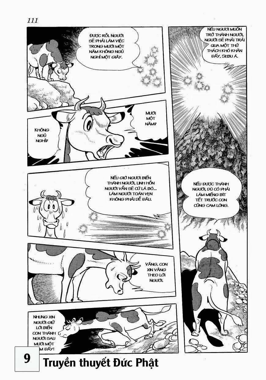 Buddha - Truyền Thuyết Đức Phật Chapter 41 - 13