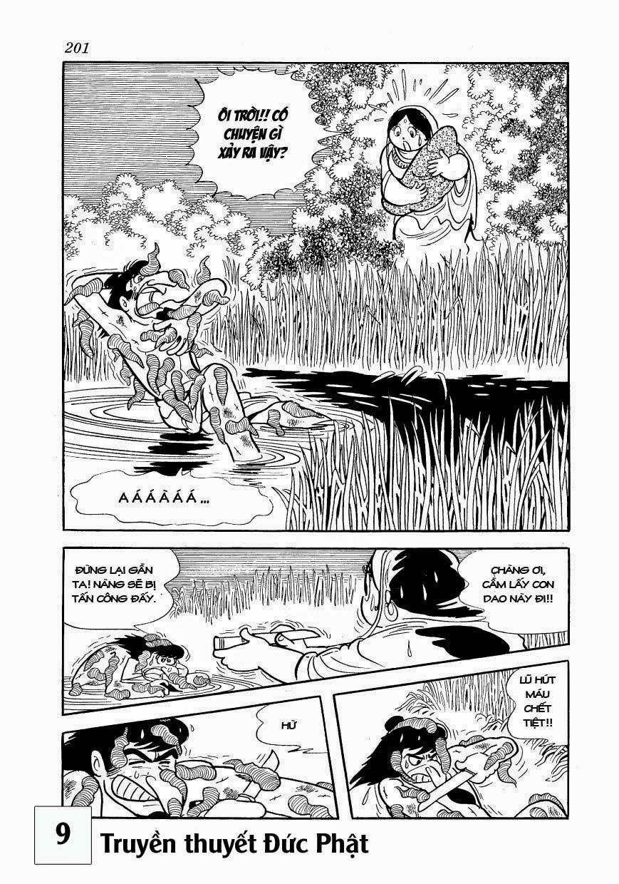 Buddha - Truyền Thuyết Đức Phật Chapter 43 - 11