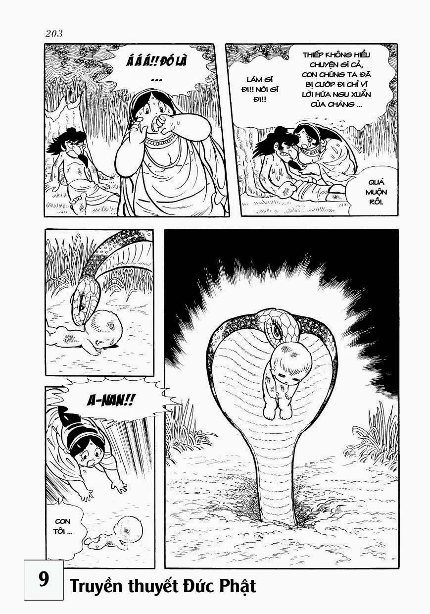 Buddha - Truyền Thuyết Đức Phật Chapter 43 - 13