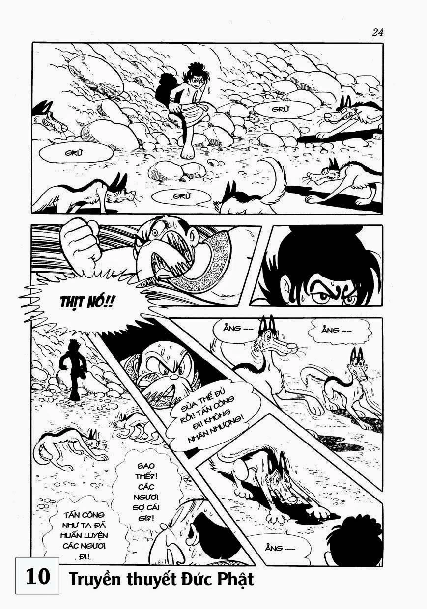 Buddha - Truyền Thuyết Đức Phật Chapter 44 - 23