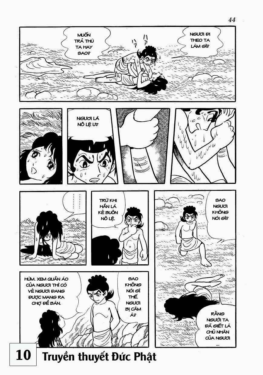 Buddha - Truyền Thuyết Đức Phật Chapter 45 - 11