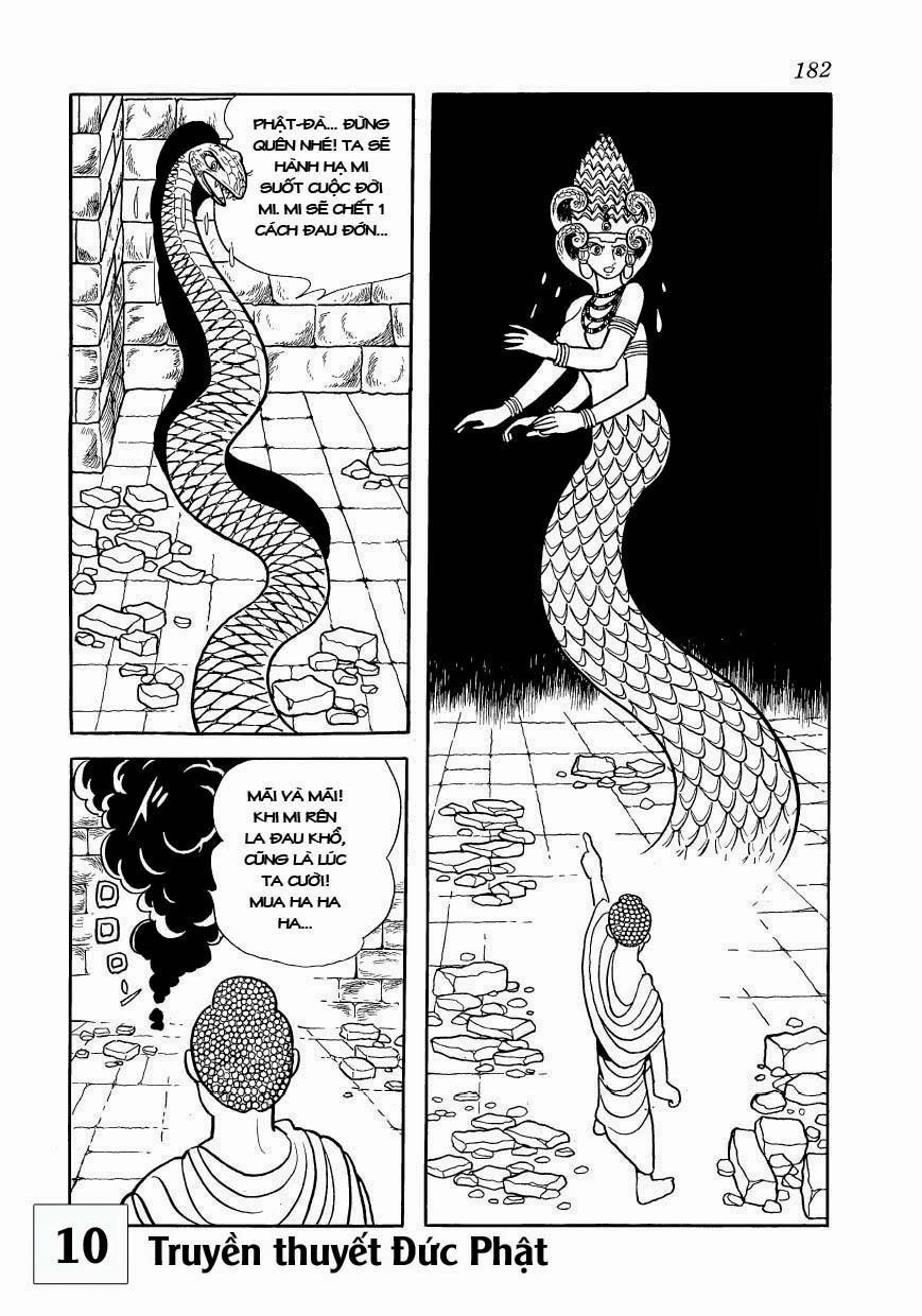 Buddha - Truyền Thuyết Đức Phật Chapter 48 - 8