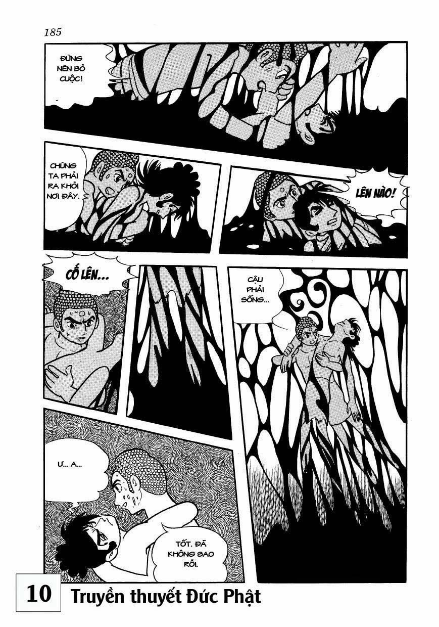 Buddha - Truyền Thuyết Đức Phật Chapter 48 - 11