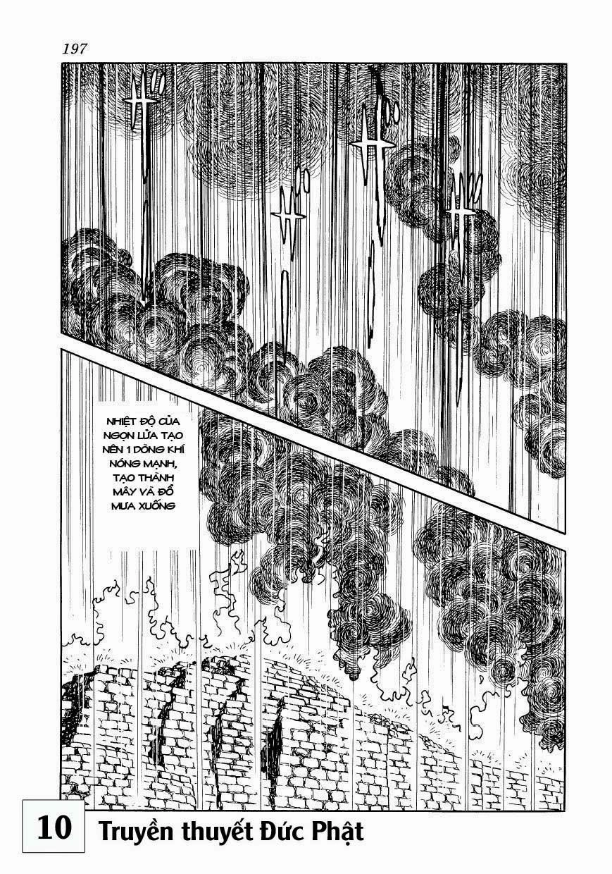 Buddha - Truyền Thuyết Đức Phật Chapter 48 - 23