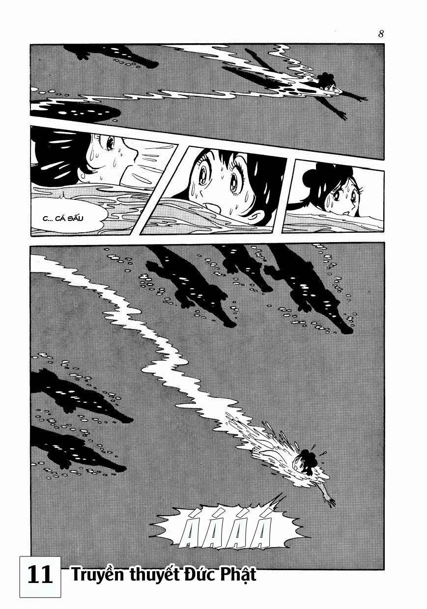 Buddha - Truyền Thuyết Đức Phật Chapter 50 - 8