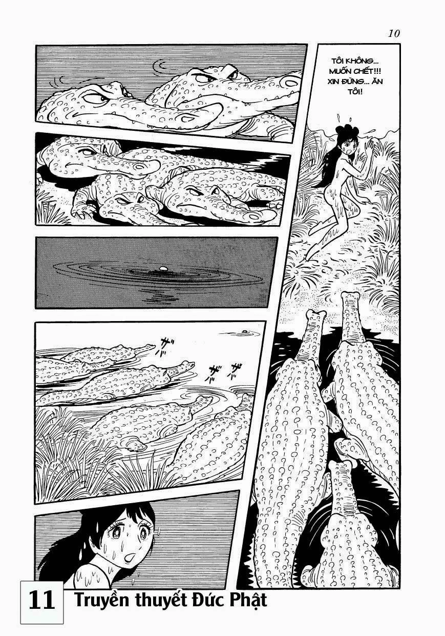 Buddha - Truyền Thuyết Đức Phật Chapter 50 - 10