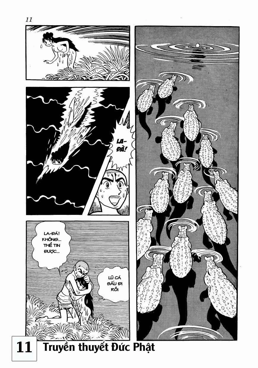 Buddha - Truyền Thuyết Đức Phật Chapter 50 - 11