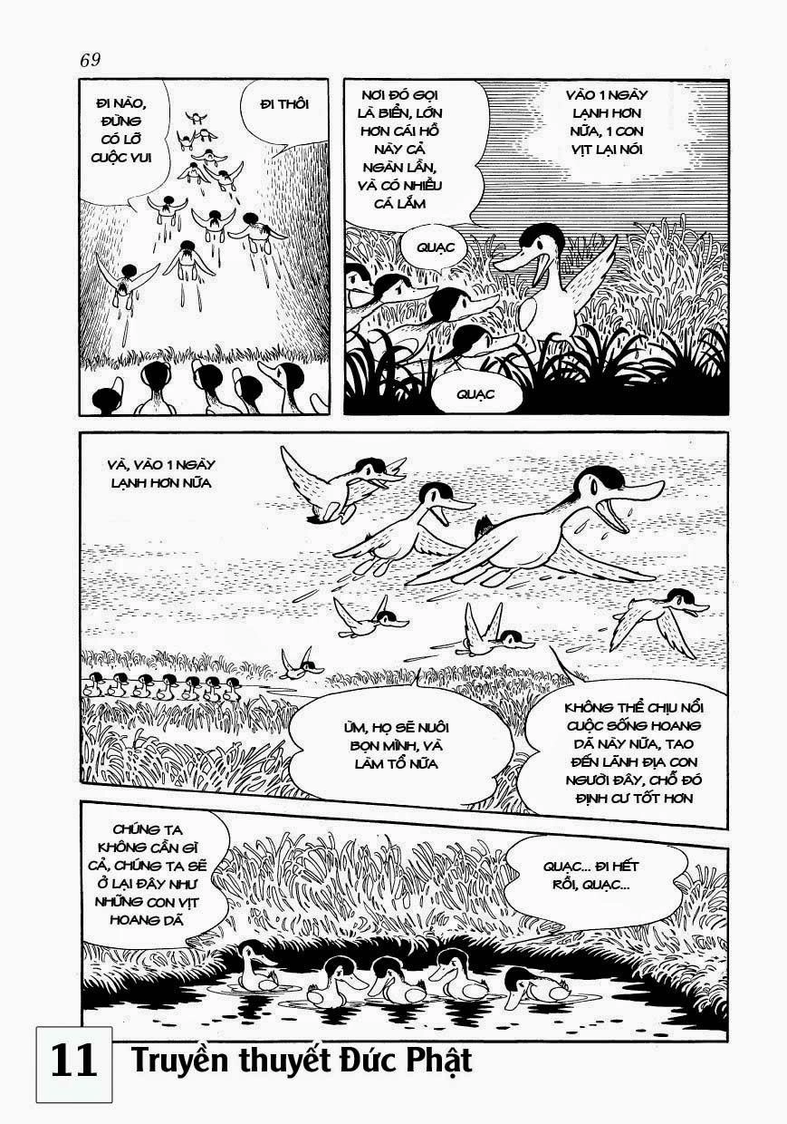 Buddha - Truyền Thuyết Đức Phật Chapter 51 - 4