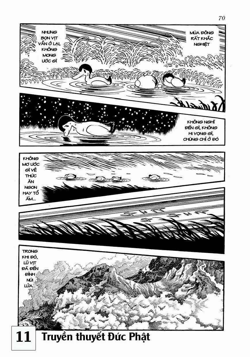 Buddha - Truyền Thuyết Đức Phật Chapter 51 - 5