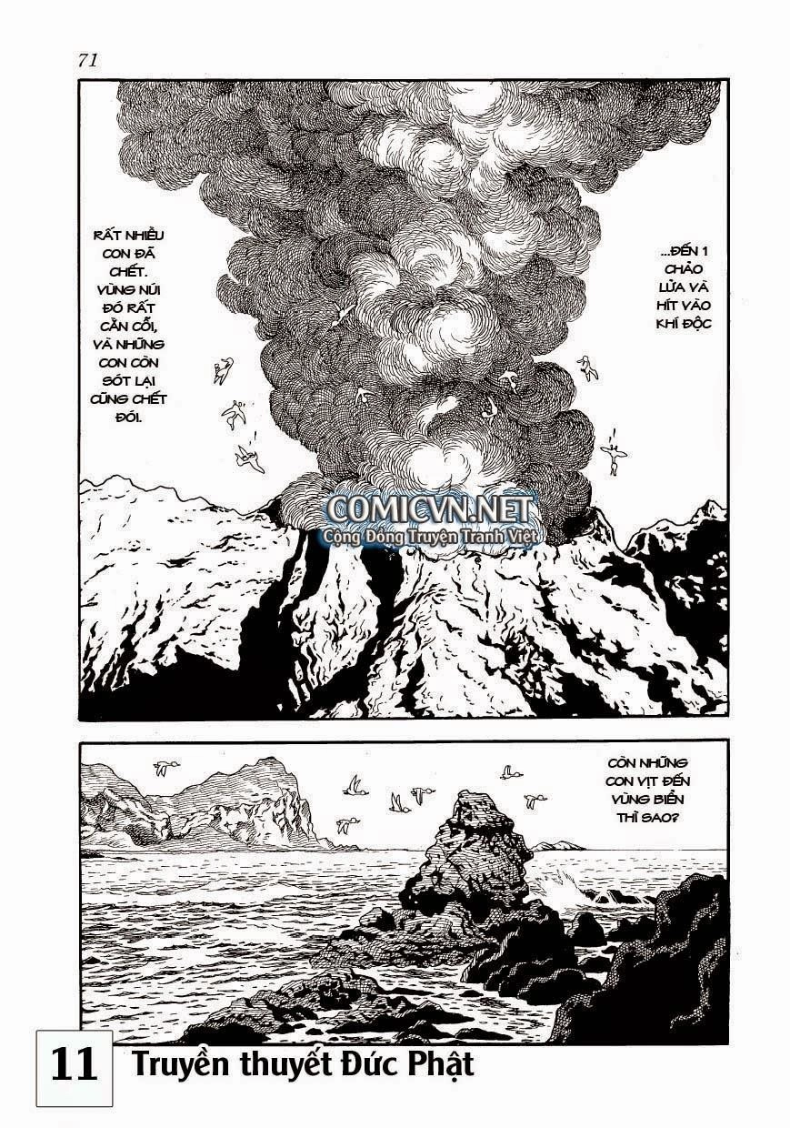 Buddha - Truyền Thuyết Đức Phật Chapter 51 - 6