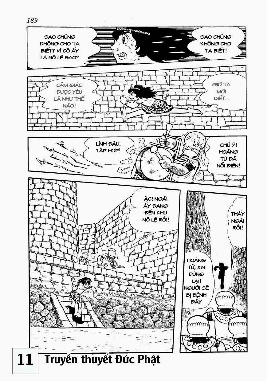 Buddha - Truyền Thuyết Đức Phật Chapter 53 - 24