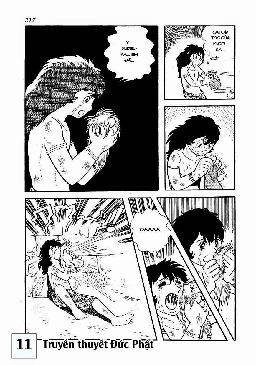 Buddha - Truyền Thuyết Đức Phật Chapter 53 - 52