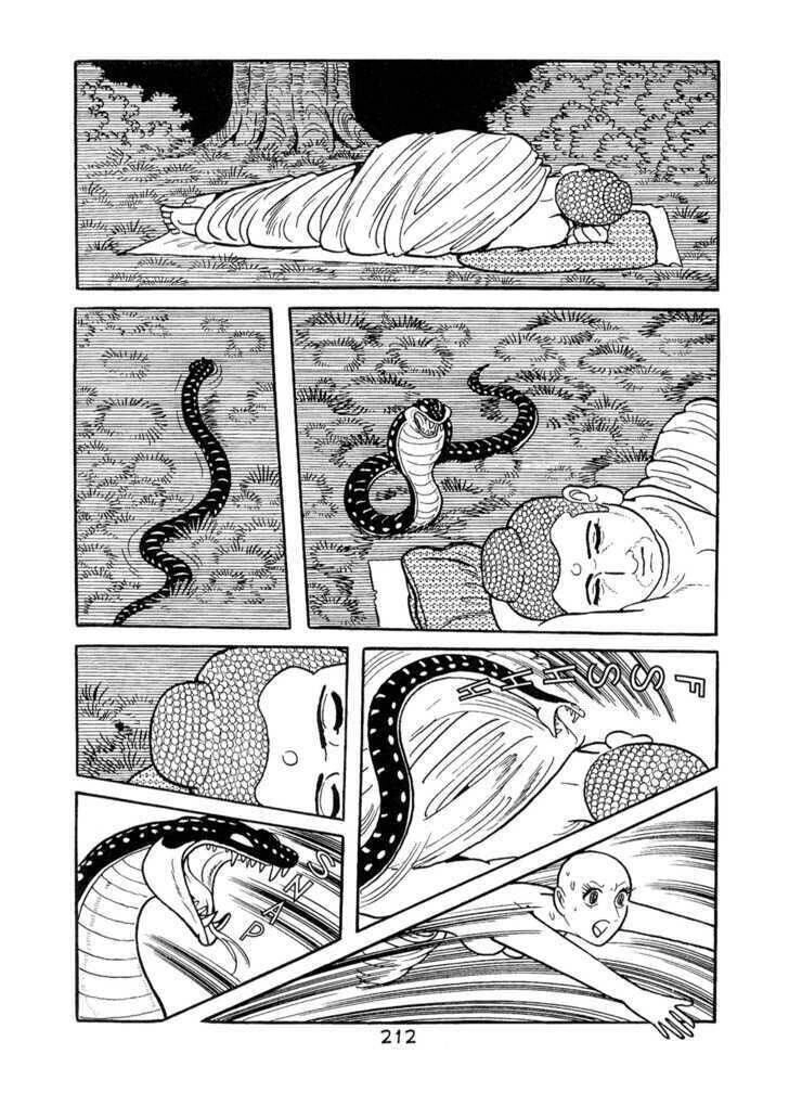 Buddha - Truyền Thuyết Đức Phật Chapter 55 - 31