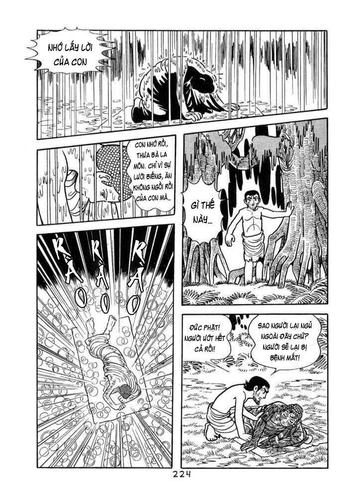 Buddha - Truyền Thuyết Đức Phật Chapter 55 - 43