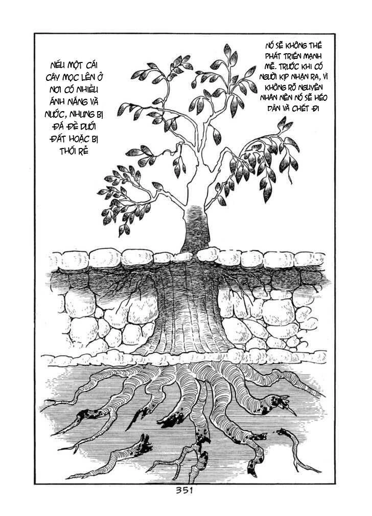 Buddha - Truyền Thuyết Đức Phật Chapter 59 - 13