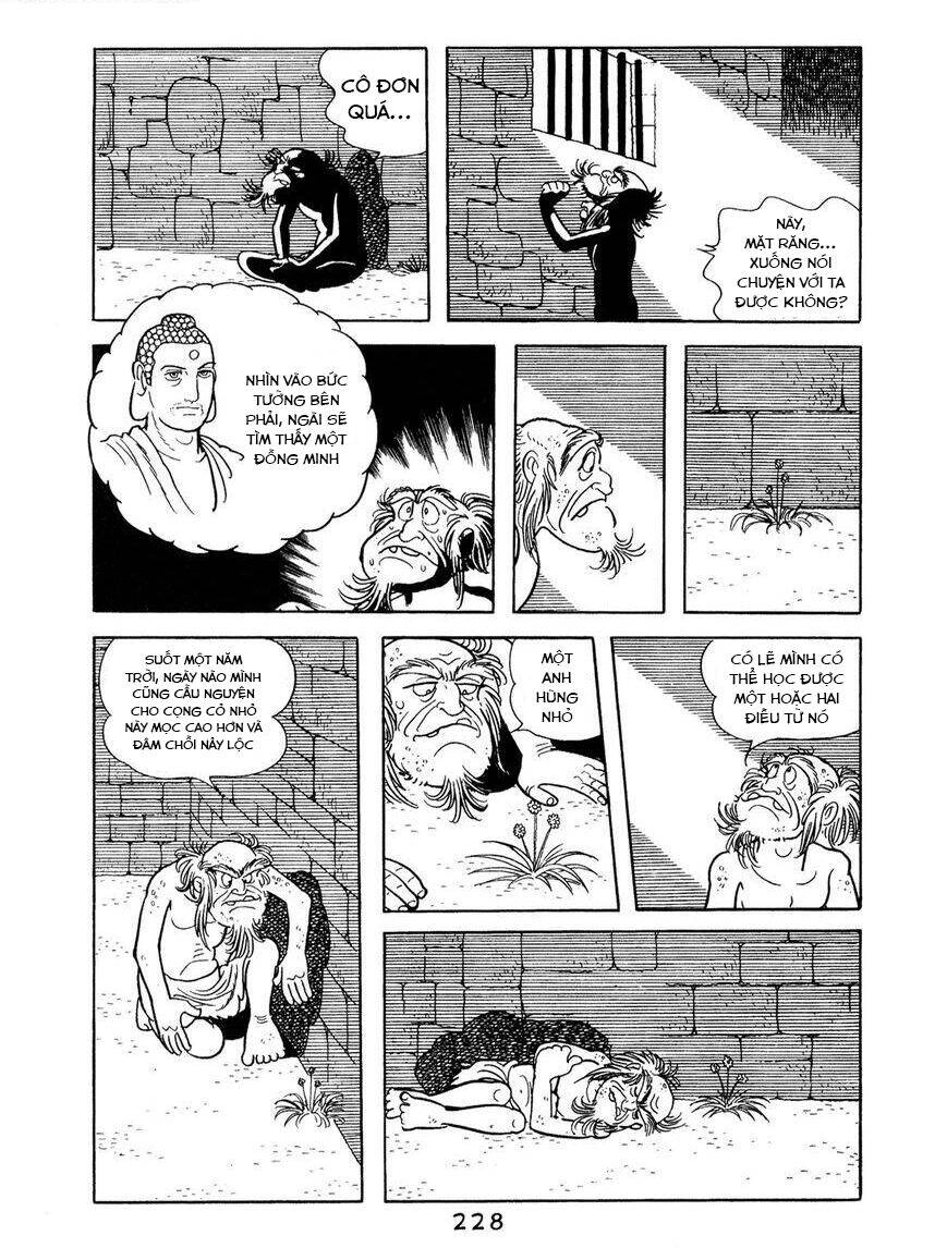 Buddha - Truyền Thuyết Đức Phật Chapter 66 - 18