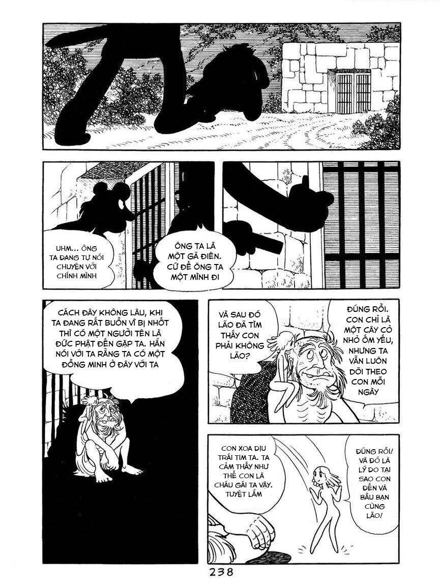 Buddha - Truyền Thuyết Đức Phật Chapter 66 - 28