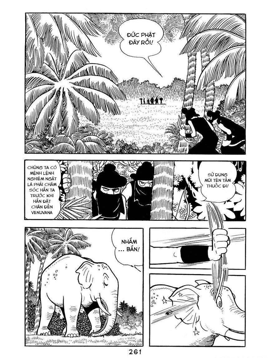 Buddha - Truyền Thuyết Đức Phật Chapter 67 - 19